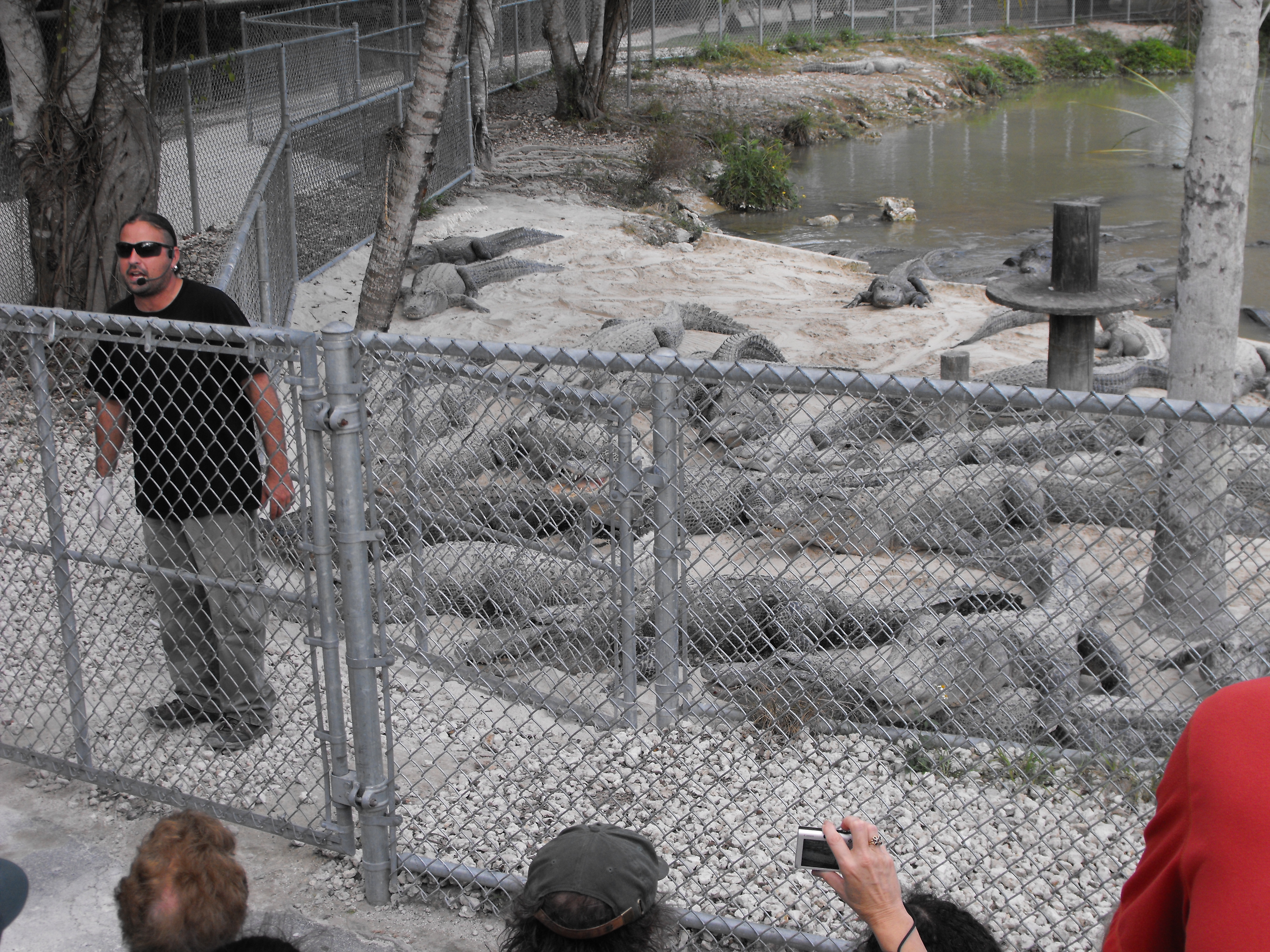 ./2012/Christmas/Aligator Farm/DSCF4273.JPG